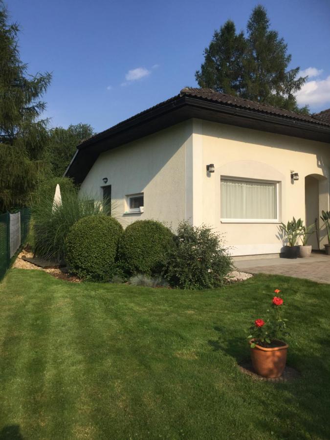 Studiovy Apartman V Zahrade Police nad Metují Eksteriør bilde