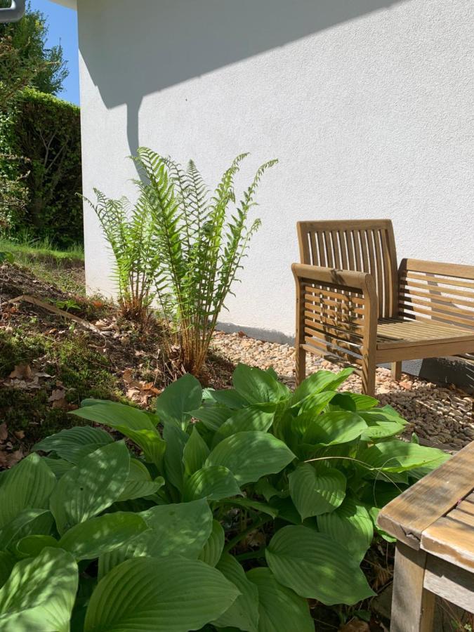 Studiovy Apartman V Zahrade Police nad Metují Eksteriør bilde
