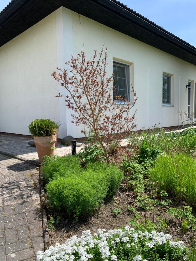 Studiovy Apartman V Zahrade Police nad Metují Eksteriør bilde